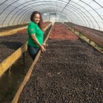 iniciativas para reactivar la economía y el empleo Copade