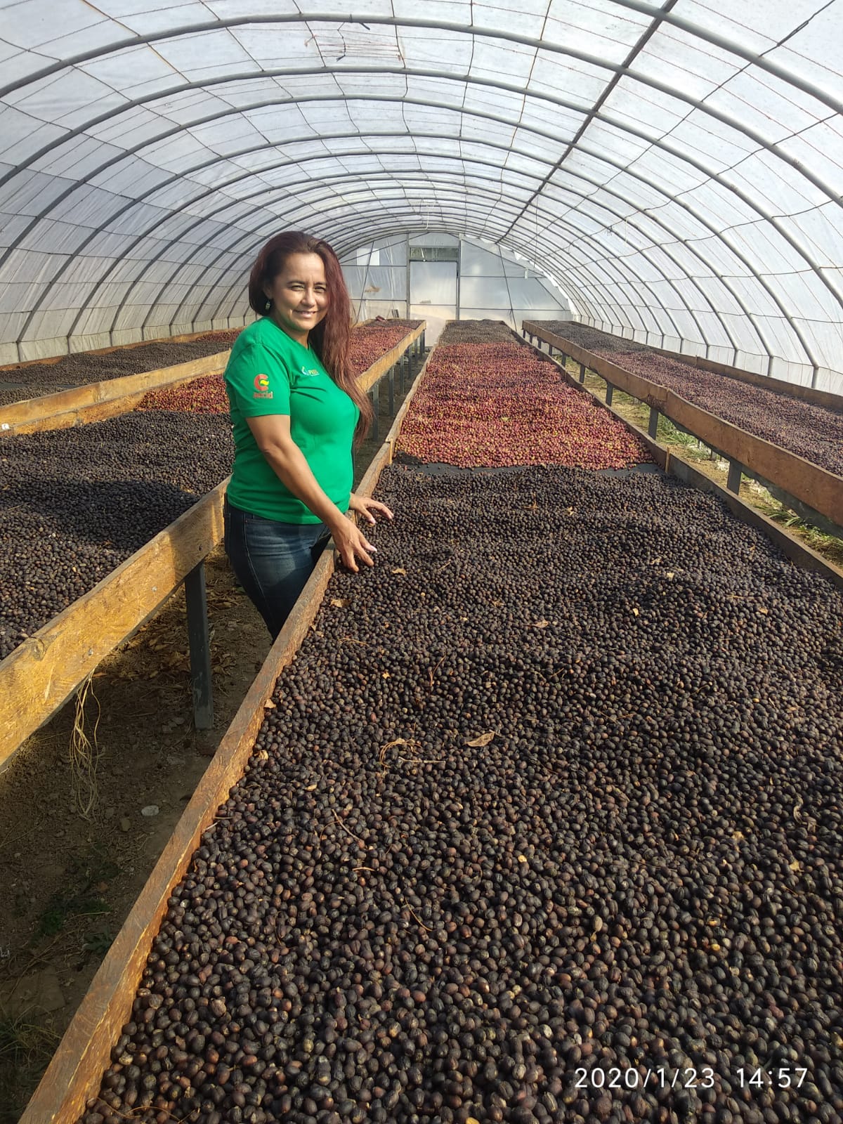 iniciativas para reactivar la economía y el empleo Copade