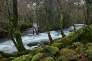 Asesoramiento gratuito a las administraciones públicas