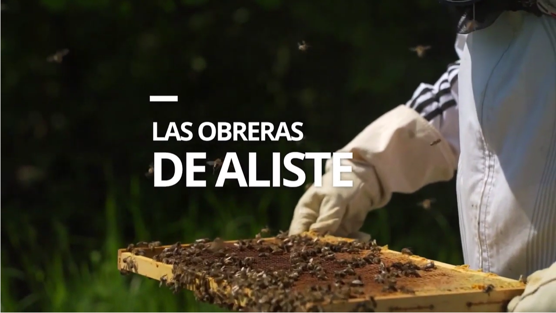 Las Obreras de Aliste