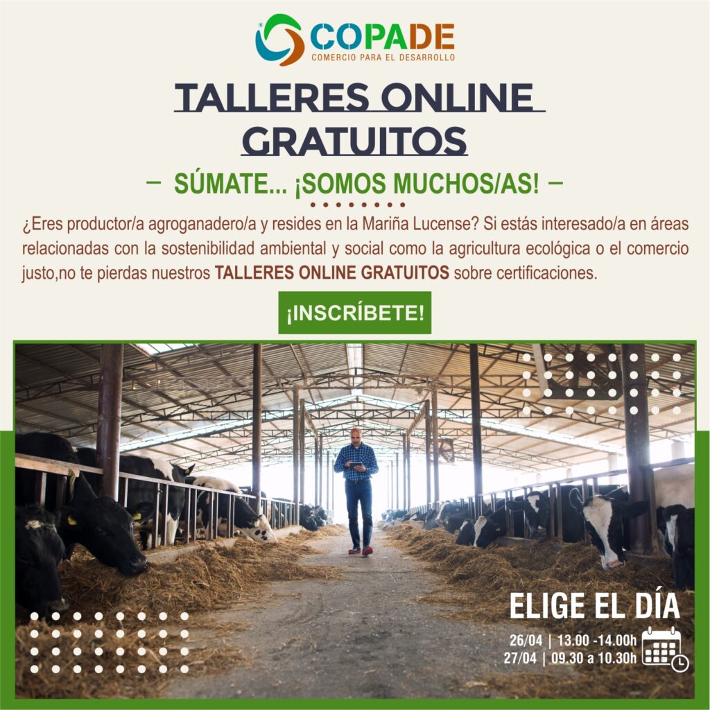 taller gratuito sobre certificaciones