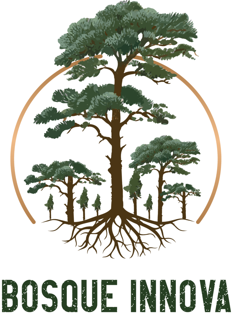 Bosque Innova